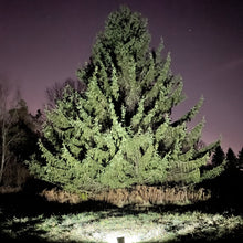 Load image into Gallery viewer, Solar Flood Billboard Light 20W