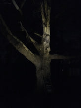 Load image into Gallery viewer, Solar Spotlight Kit with Remote