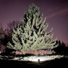 Load image into Gallery viewer, Solar Flood Billboard Light 30W