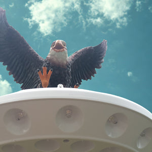 Flying Eagle Flagpole Topper