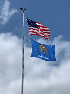 XXL Bald Eagle for County Government Building Flagpole