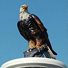 Load image into Gallery viewer, Bald Eagle and Ultra Bright Top Solar Flagpole Light